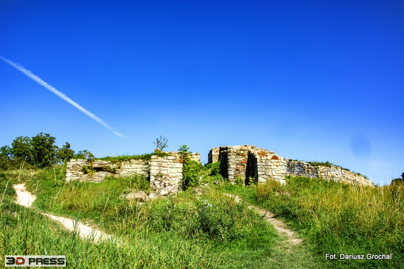 IS zamek tarnów 5