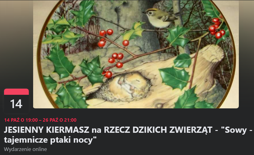 Screenshot 2021 10 17 at 11 21 48 JESIENNY KIERMASZ na RZECZ DZIKICH ZWIERZĄT Sowy tajemnicze ptaki nocy Facebook