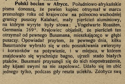 Screenshot 2022 02 16 at 13 13 54 Jagiellońska Biblioteka Cyfrowa