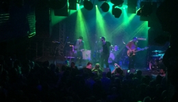 Sztywny Pal Azji, Róże Europy, Kobranocka. 2016-02-27