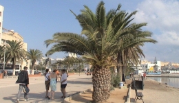 Tunezja 2005