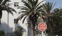Tunezja 2005