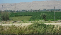 Egipt 2009