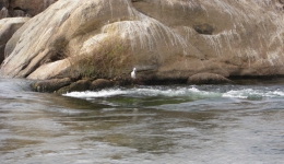 Egipt 2009
