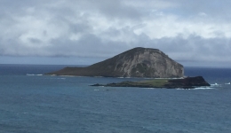 Hawaje 2016