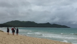 Hawaje 2016