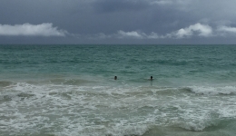 Hawaje 2016