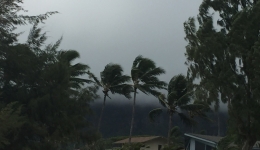 Hawaje 2016