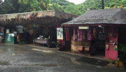 Hawaje 2016