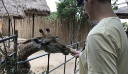 TAJLANDIA