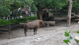 SZWECJA 2007