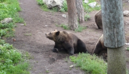 SZWECJA 2007