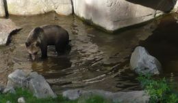 SZWECJA 2007