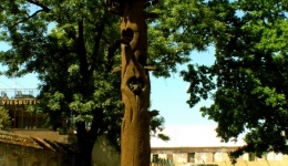 LITWA 2008