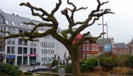 BELGIA 2012