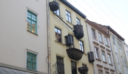 Lwów