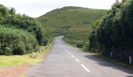 Madera