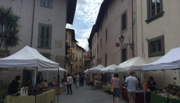 PISA