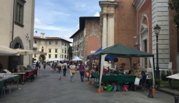 PISA