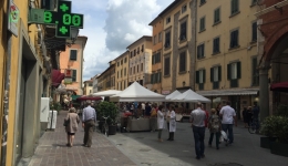 PISA