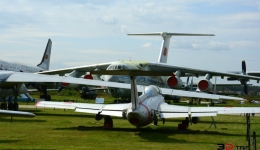 MONINO