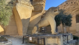 El Coto Las Canteras - Osuna
