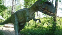 ZATOR - DINOPARK 2009