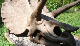 ZATOR