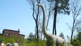 ZATOR - DINOPARK 2009