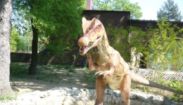 ZATOR