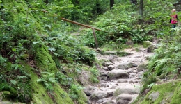Ciężkowice