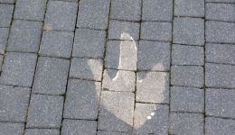 BAŁTÓW - JURAPARK 013