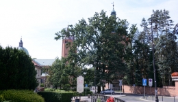 PŁOCK