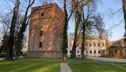 Ruiny Pałacu Hatzfeldów [Żmigród]. 2021-04-28