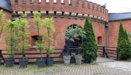 Szlak Twierdzy Warszawa - Fort Legionów (Wladimir)