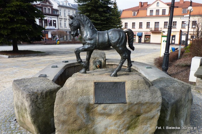 P1090049