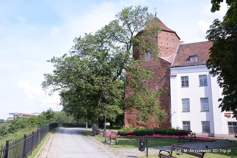 DSC 5043