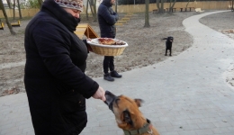 Otwarcie wybiegu dla psów. 2018-11-29
