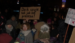 Protesty przeciw odstrzałowi dzików. 2019-01-11