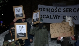 Protesty przeciw odstrzałowi dzików. 2019-01-11